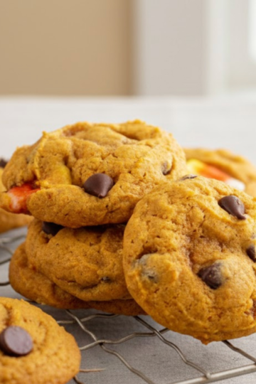 Soft pumpkin chocolate chip cookies stacked on a plate, showing their thick, fluffy texture and melty chocolate chips.