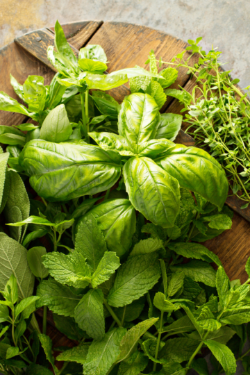Fresh parsley and basil stored in jars of water to keep herbs fresh longer.