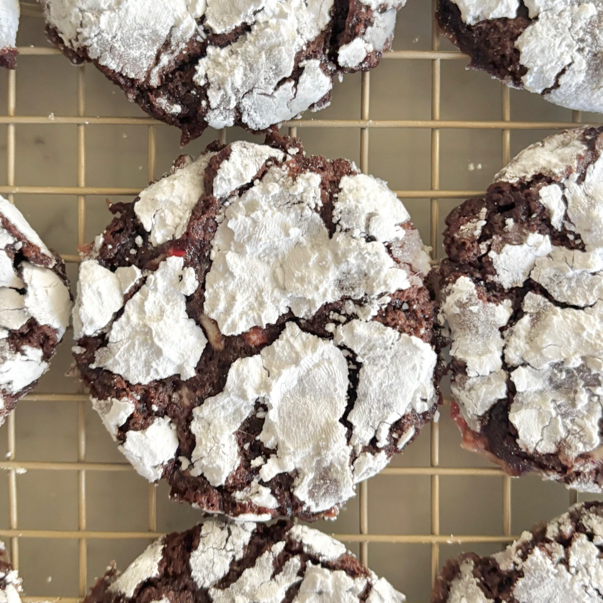 Christmas chocolate crinkle cookies with powdered sugar crackled tops.
