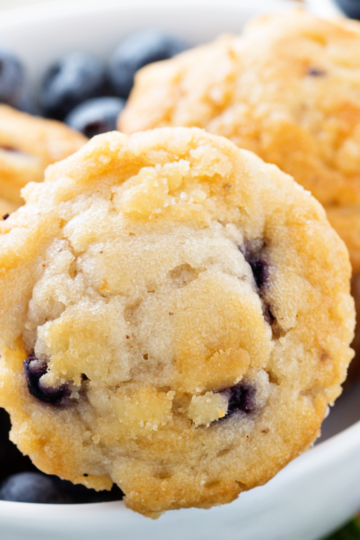 Soft and fluffy blueberry muffins served on top of fresh blueberries.