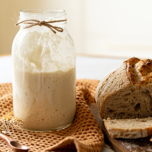 How to store sourdough discard using fridge and freezer storage methods