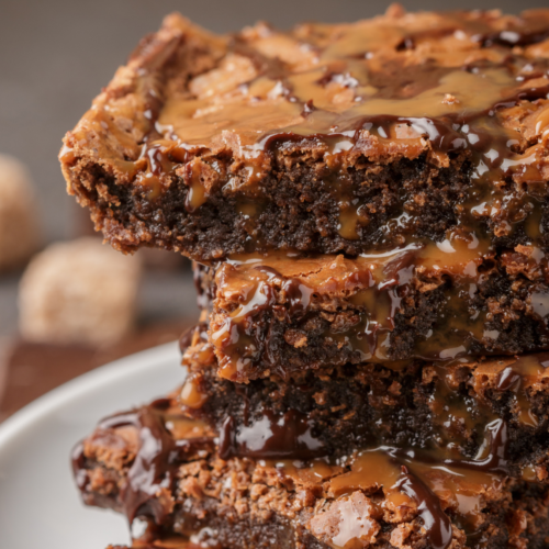 Close-up of brownies showing fudgy and chewy textures.