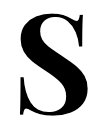Summer & Cinnamon logo